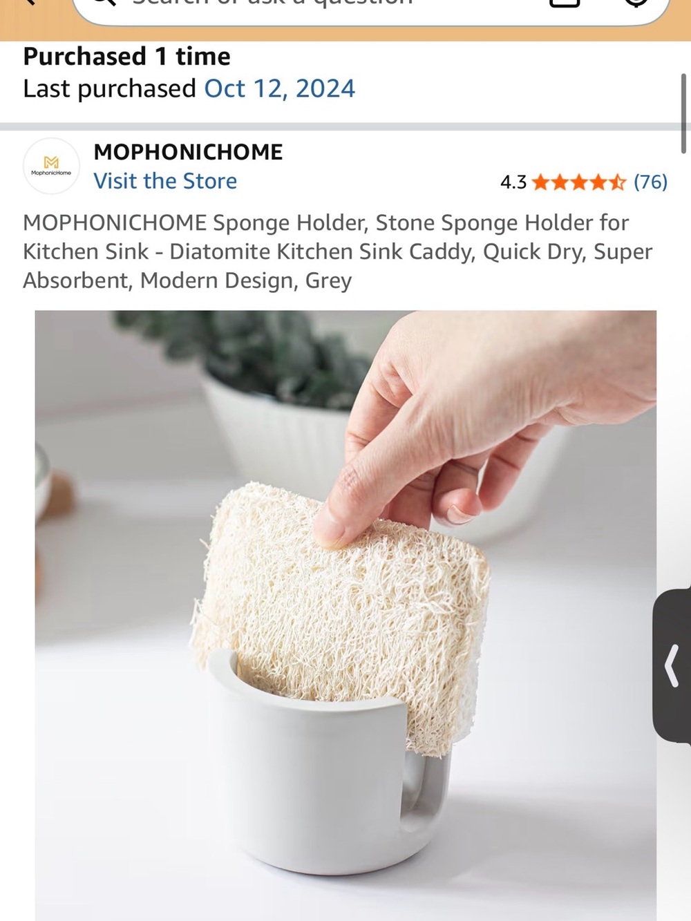 Neutral Concrete sponge holder